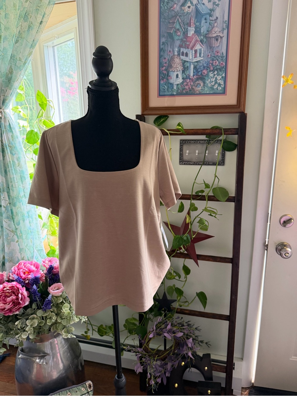 Cupio Beige Square-Neck Short Sleeve Top